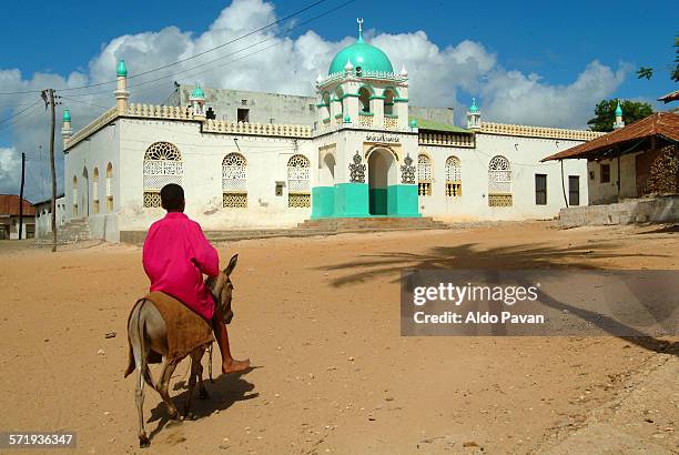 Mosque Tree Palm Tree Mosque Photos and Premium High Res Pictures - Getty Images