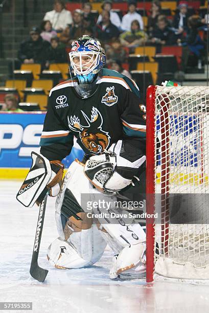 Wade Flaherty of the Manitoba Moose eyes the play against the Hamilton Bulldogs during the AHL game on January 7, 2006 at Copps Colliseum in...