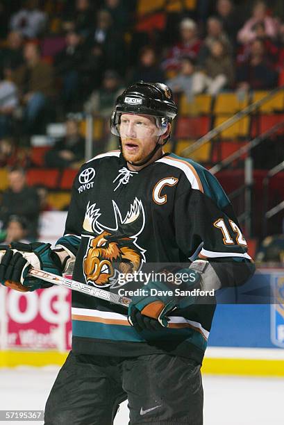 Mike Keane of the Manitoba Moose looks on against the Hamilton Bulldogs during the AHL game on January 7, 2006 at Copps Colliseum in Hamilton,...