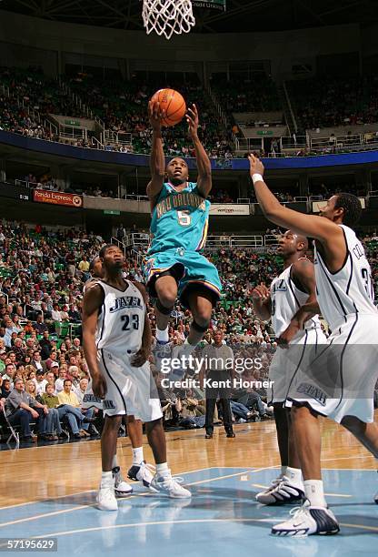 New Orleans Hornets Speedy Claxton Photos and Premium High Res Pictures