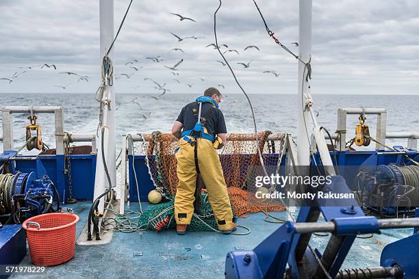 fisherman inspecting trawl net on research ship - industria de la pesca fotografías e imágenes de stock