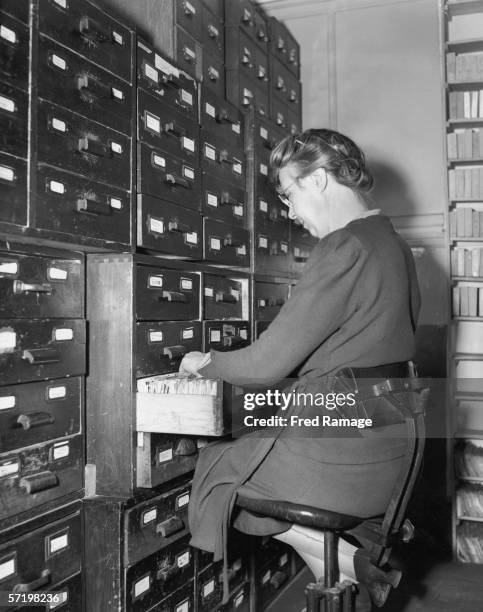 Library File Index Library Index Cards Photos and Premium High Res Pictures - Getty Images