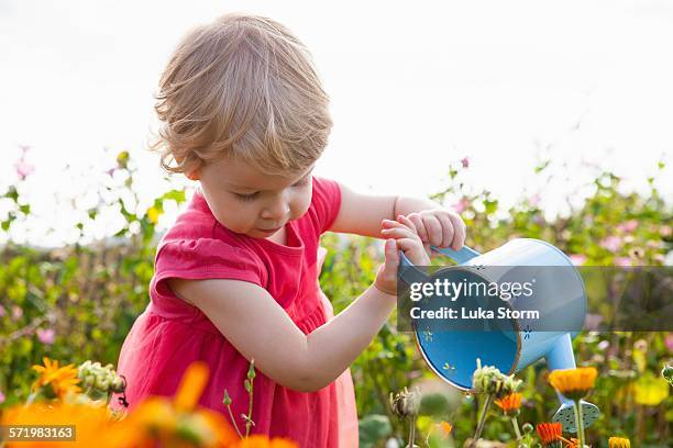 female toddler emptying watering can in flower field - red dress child stock pictures, royalty-free photos & images