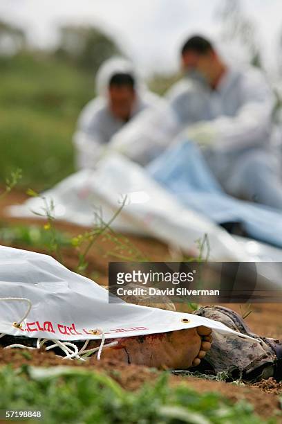 Israeli Police forensic experts inspect the bodies of two Israeli Bedouin shepherds who were killed in an explosion, on March 28, 2006 in Nahal Oz,...