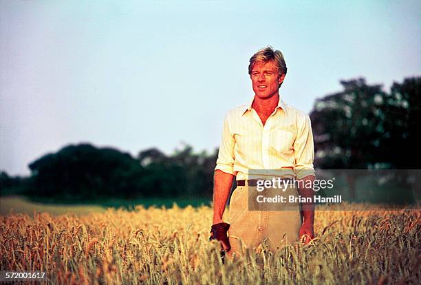 Pictures and Photos - Getty Images
