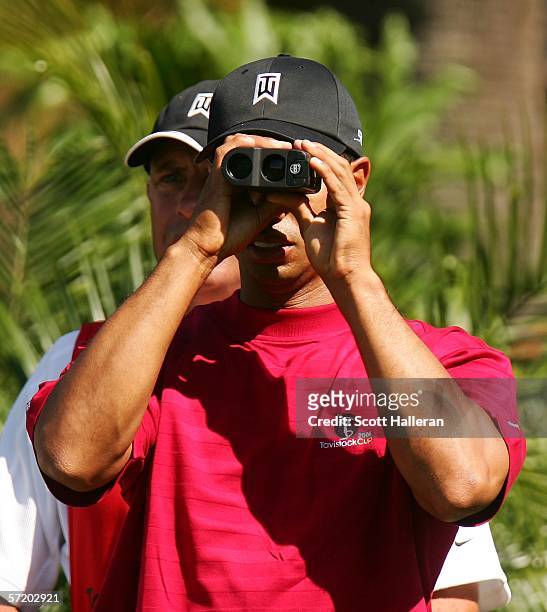 Tiger Woods looks through binoculars as his caddie Steve Williams waits with him on the 11th tee during the second day of the Tavistock Cup at the...