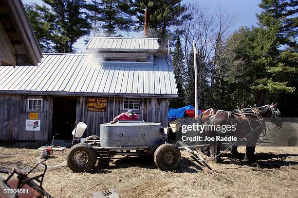 Earle Mitchell checks the tank of fresh sap from the maple trees as he delivers it to the maple syrup shed March 28, 2006 in Bowdoin, Maine. Earle...