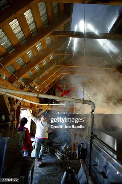 Penny Savage and Earle Mitchell wait for fresh maple syrup to be boiled out of the evaporator in the maple syrup shed March 28, 2006 in Bowdoin,...