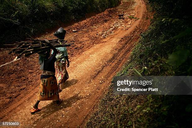 Women, carrying wood walk along a dirt road March 29, 2006 in the gold mining town of Mongbwalu, Congo. The Democratic Republic of Congo , a country...