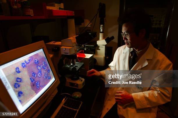 Dr. Jing Kang, from the Department of Medicine, Massachusetts General Hospital & Harvard Medical School sits in his lab March 29, 2006 in Boston,...