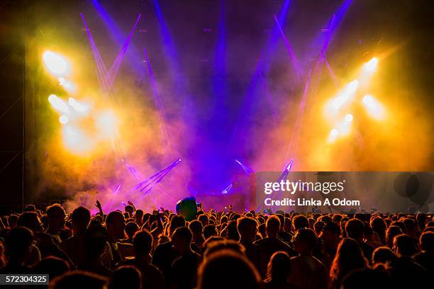 fans waiting for performer to enter stage - festival de musique photos et images de collection