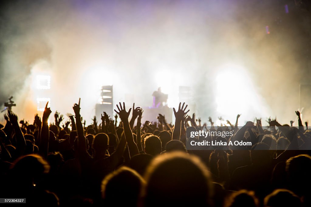 Fans with raised arms at music Festival