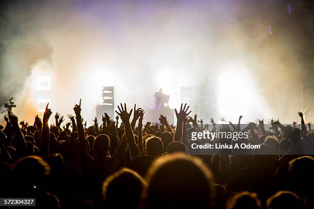 fans with raised arms at music festival - menschenmenge stock-fotos und bilder