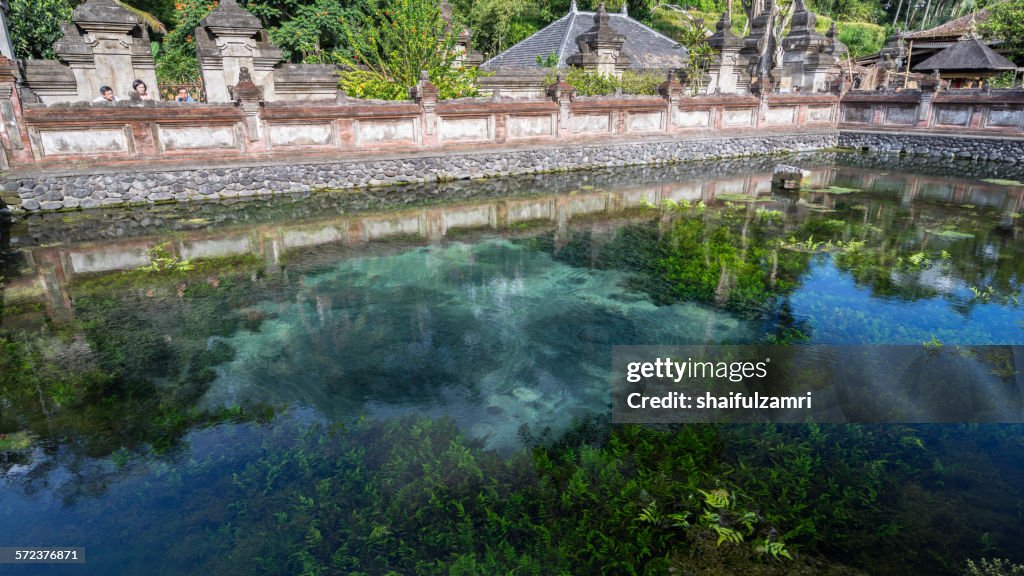 Holy spring water in Bali