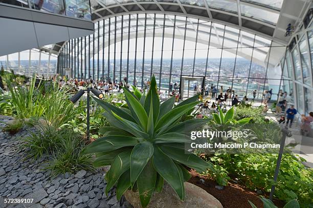 sky garden at 20 fenchurch street, london, uk - 20 fenchurch street stock pictures, royalty-free photos & images