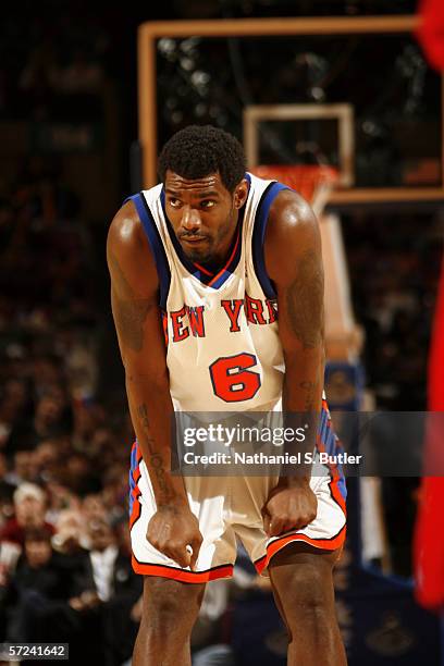 Qyntel Woods of the New York Knicks is on the court during the game against the Toronto Raptors at Madison Square Garden on March 21, 2006 in New...