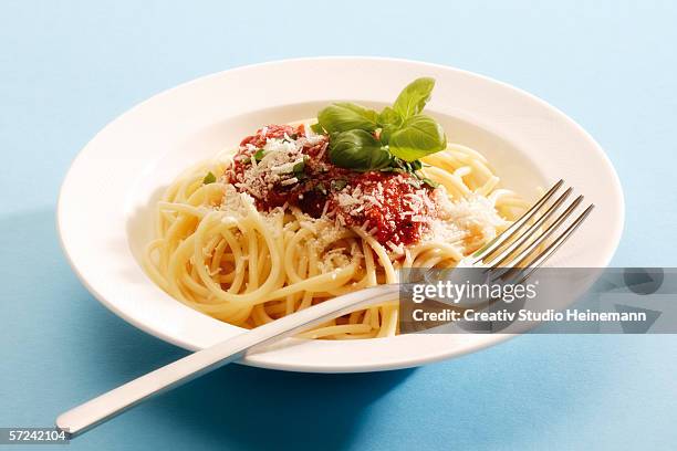 spaghetti with tomato sauce, close-up - blue plate stock pictures, royalty-free photos & images