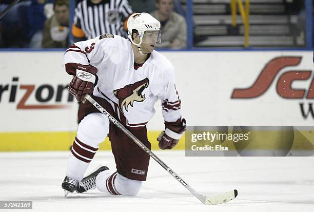 Denis Gauthier of the Phoenix Coyotes skates during the game against the St. Louis Blues on January 26, 2006 at the Savvis Center in St. Louis,...