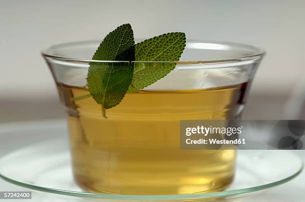 cup of sage tea, close-up - tea sage stock pictures, royalty-free photos & images