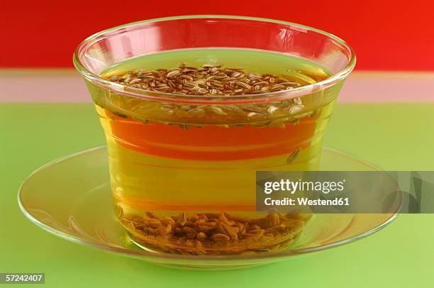 cup of fennel tea, close-up - fennel seeds stock pictures, royalty-free photos & images