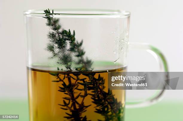 glass of thyme tea, close-up - thyme stock pictures, royalty-free photos & images