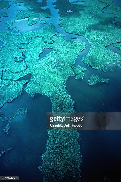 aerial shot of florida bay. florida bay, florida. - florida usa stock-fotos und bilder