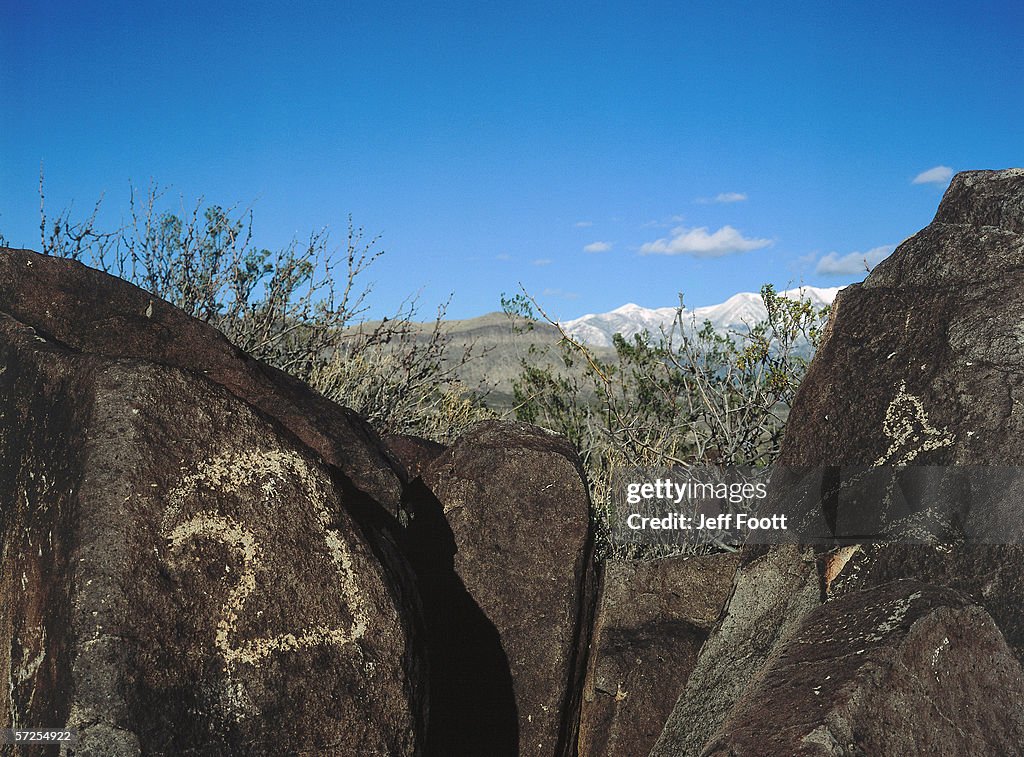 Rock art depicts images of hawk and sheep. Three Rivers State Park, New Mexico.