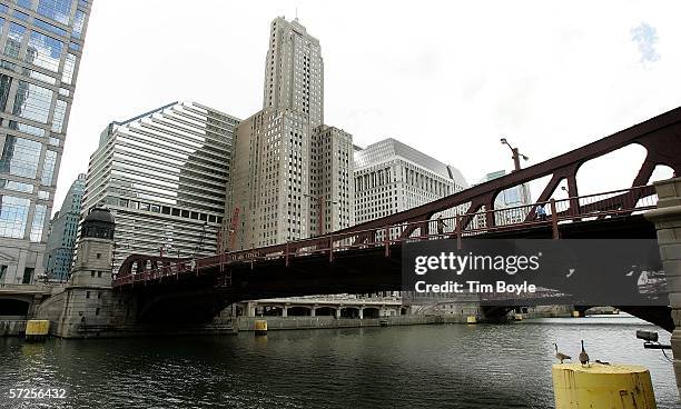 Two geese are seen on a piling, bottom right, at the Clark Street double-leaf trunnion bascule bridge, built in 1929, over the Chicago River March...