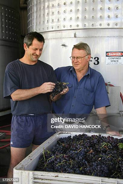 General manager of family-owned business Tyrrells Wines, Bruce Tyrrell discusses the harvest of muscatel grapes with a vineyard worker at the...