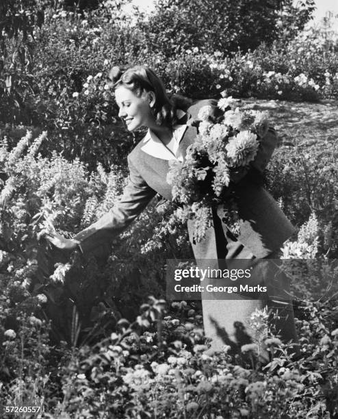 femme cueillir des fleurs dans le jardin (b & w - fleurs noir et blanc photos et images de collection