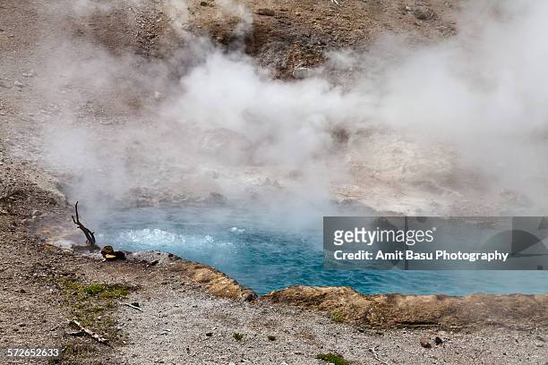 blue beryl pring, yellowstone - beryl mineral stock pictures, royalty-free photos & images
