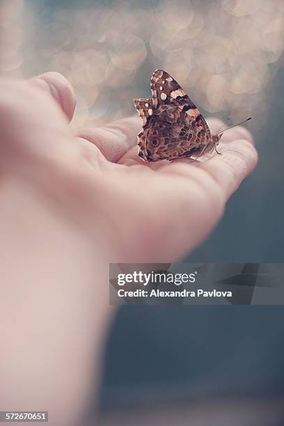 butterfly on woman's hand - releasing butterflies stock pictures, royalty-free photos & images