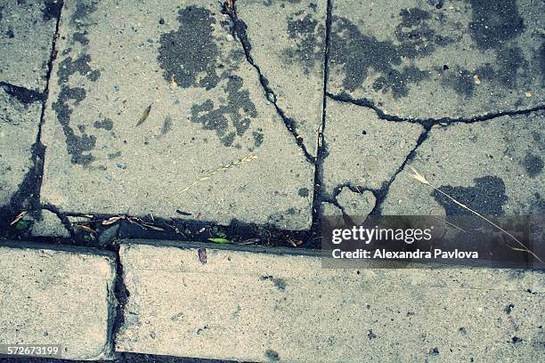 heart of stone formed in pavement cracks - alexandra pavlova foto e immagini stock