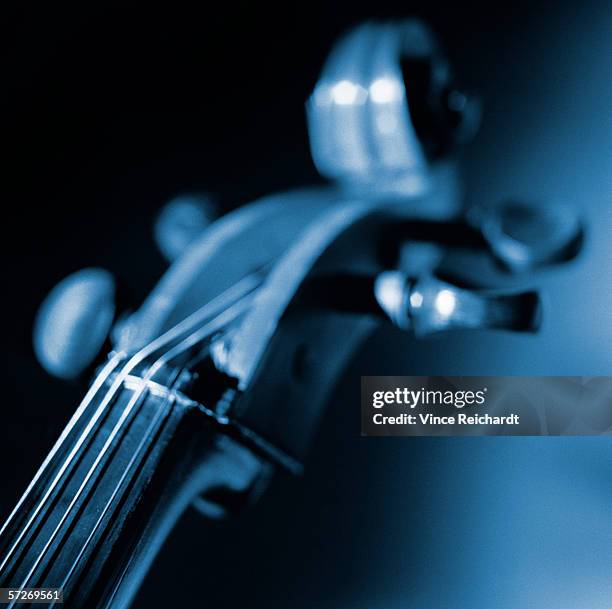 the neck of a violin, close-up (b&w). - string instrument stock pictures, royalty-free photos & images
