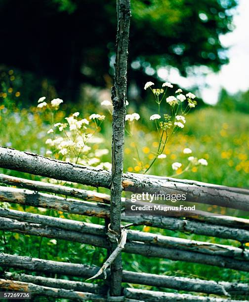 a wooden fence in front of a meadow. - dalarna stock pictures, royalty-free photos & images