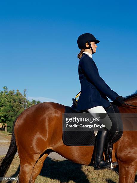 side profile of a girl riding a horse - riding hat fotografías e imágenes de stock