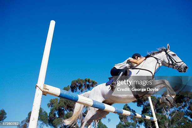 low angle view of a girl riding a horse and jumping over a barrier - hindernisrace paardenrennen stockfoto's en -beelden
