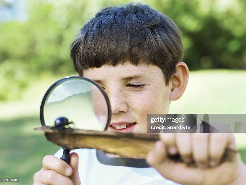 Close-up of a boy looking at an insect through a magnifying lens