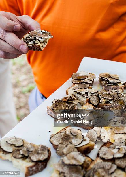 hors-d'oeuvres of black truffles - tierische nase stock-fotos und bilder