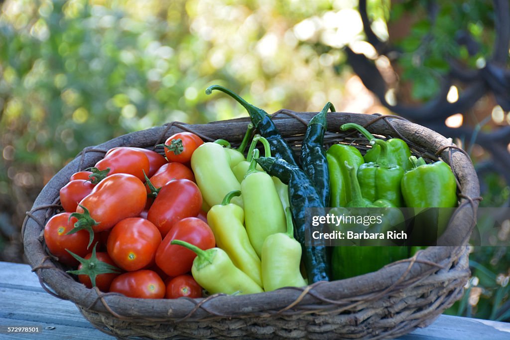 Basket of fresh produce from the garden