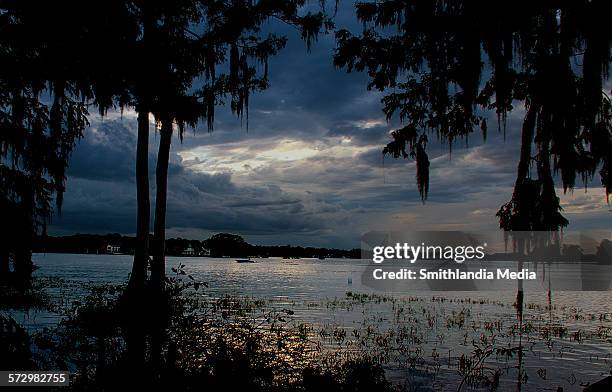 a dark and stormy night - hunter valley stock pictures, royalty-free photos & images