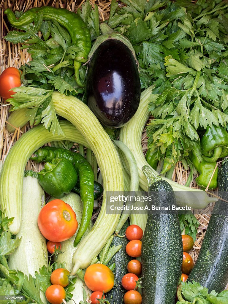 Box with different types of vegetables