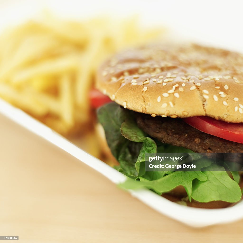 Close-up of a hamburger with french-fries on a plate