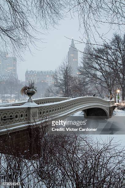 central park after snowstorm - new york city snow stock pictures, royalty-free photos & images