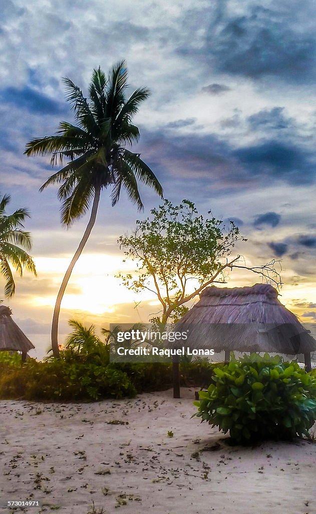 Tropical island sunset