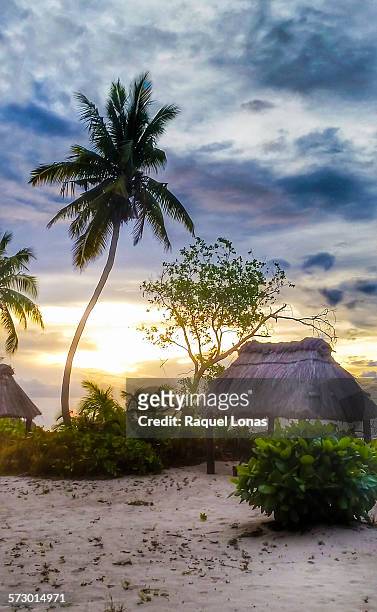 tropical island sunset - western division fiji stock pictures, royalty-free photos & images