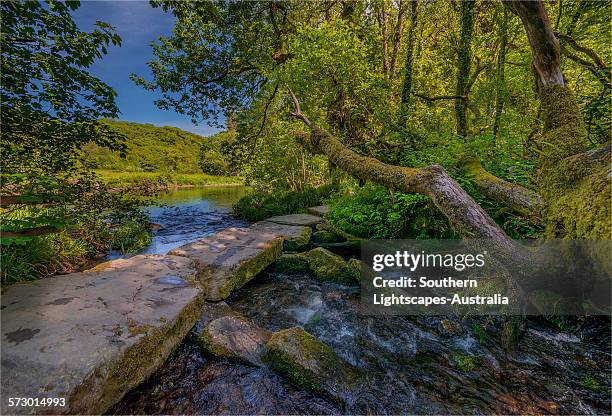 tarr steps exmoor - exmoor national park stock pictures, royalty-free photos & images