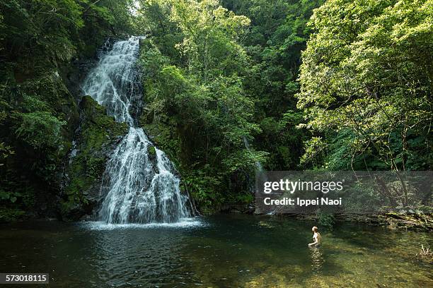 man bathing in waterfall in lush forest - amami stockfoto's en -beelden