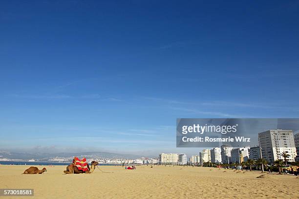 tangier beach - tangier stock pictures, royalty-free photos & images