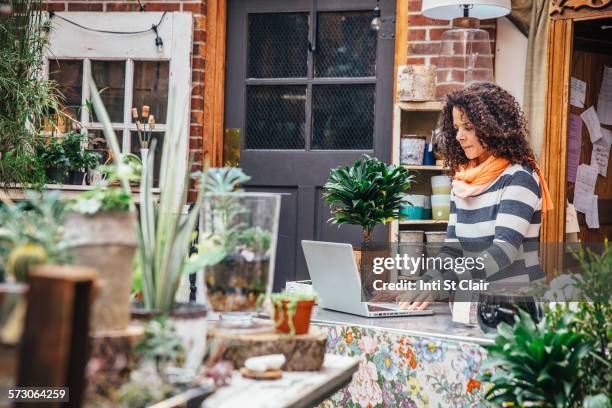 mixed race employee using laptop in plant nursery - florest stock pictures, royalty-free photos & images